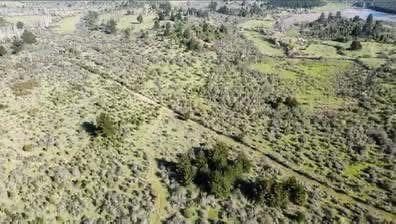 Campo en venta en Pemuco — foto 2
