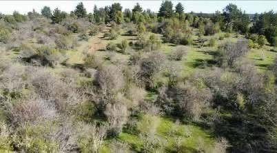Campo en venta en Pemuco — foto 3