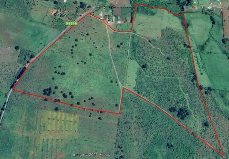 Campo en venta en Pemuco — foto 4
