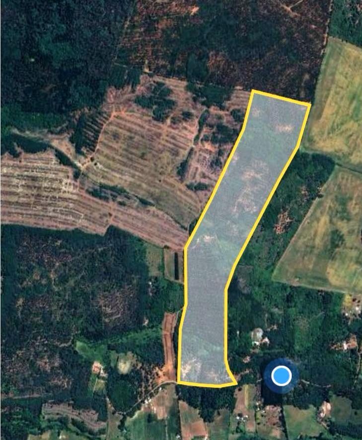 Campo en venta en San Ignacio — foto 1