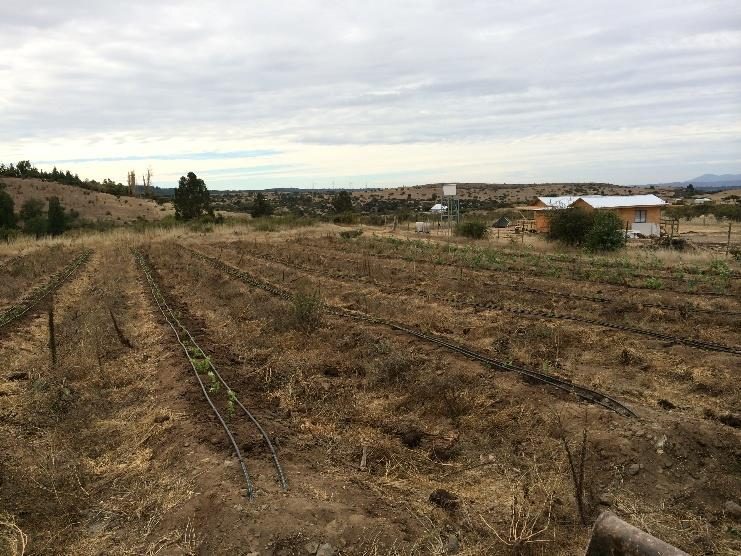 Campo en venta en Litueche — foto 2