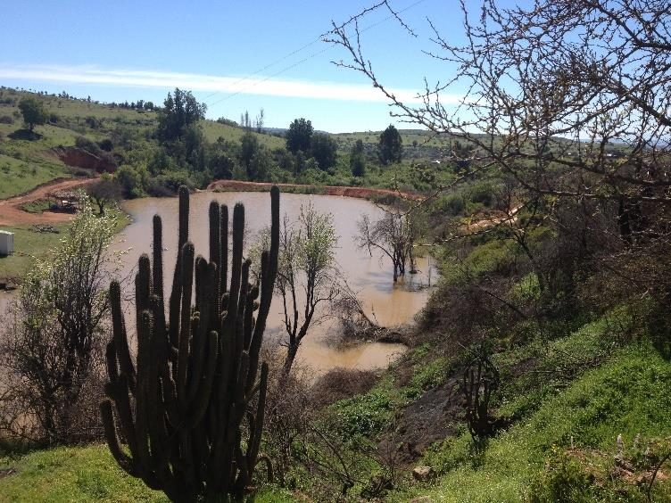 Campo en venta en Litueche — foto 7