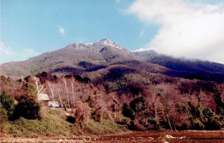 Campo en venta en Pinto — foto 3