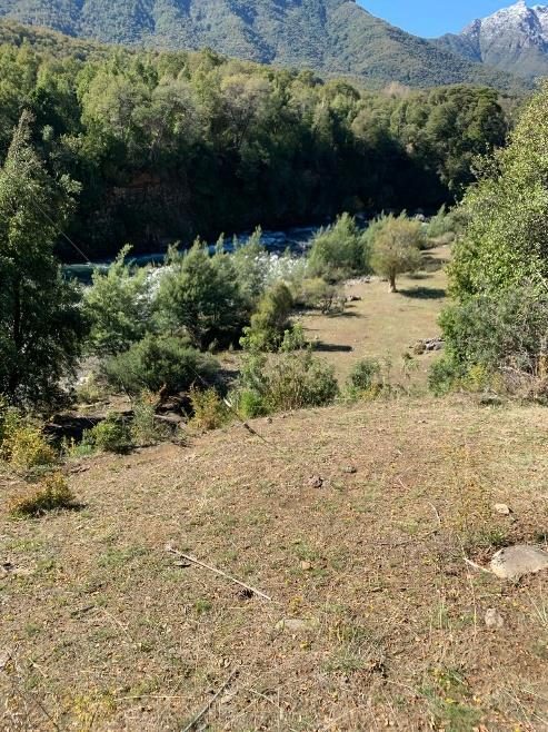 Campo en venta en Pinto — foto 7