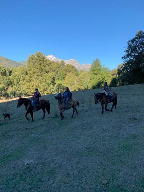 Campo en venta en Pinto — foto 9