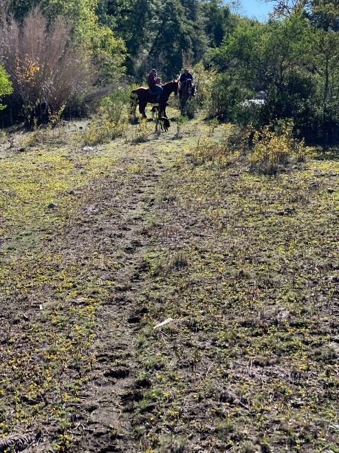 Campo en venta en Pinto — foto 10