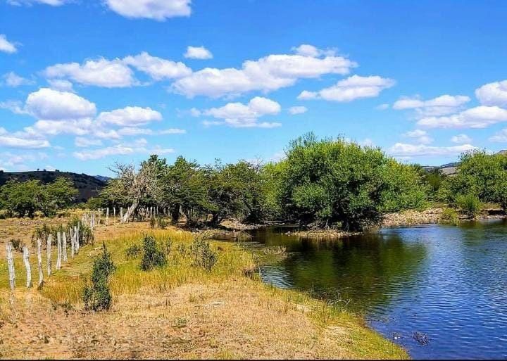 Campo en venta en Lonquimay — foto 1