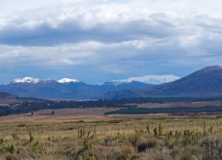Campo en venta en Lonquimay — foto 3