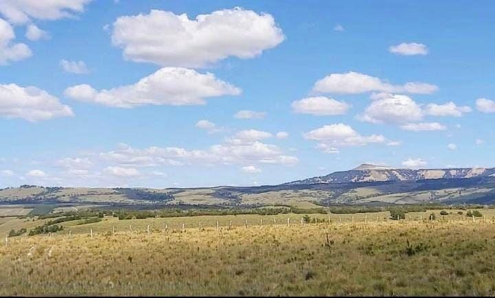Campo en venta en Lonquimay — foto 4