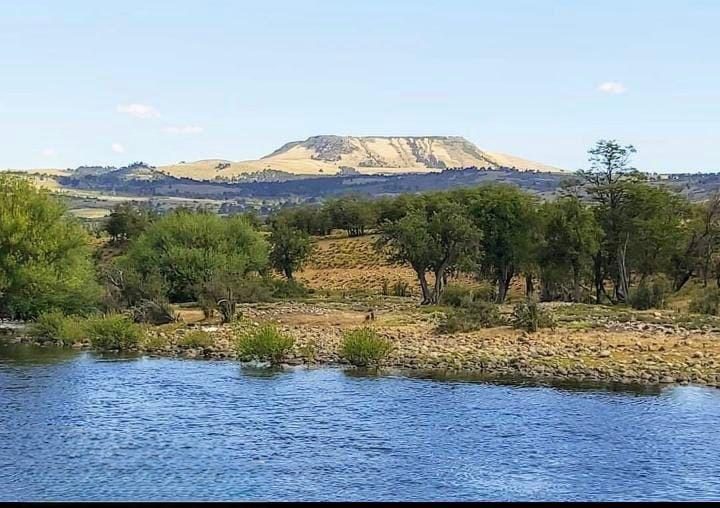 Campo en venta en Lonquimay — foto 5