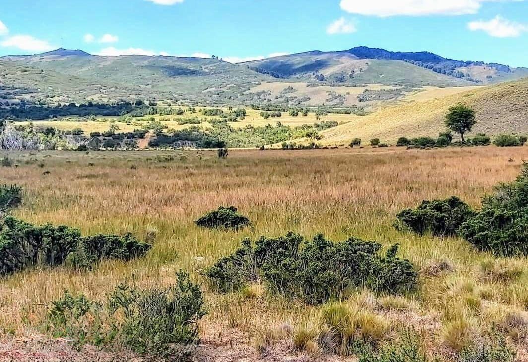 Campo en venta en Lonquimay — foto 8