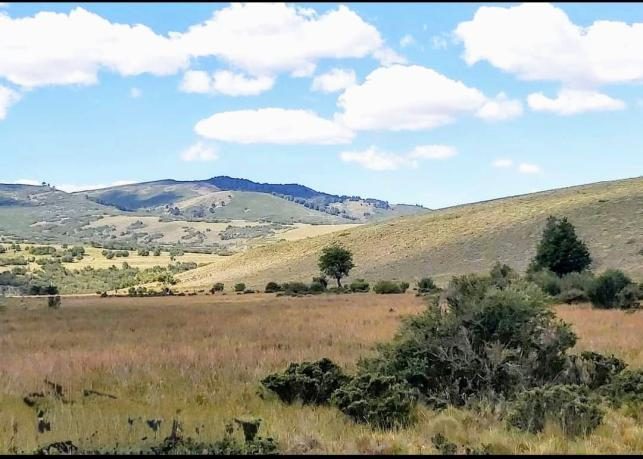 Campo en venta en Lonquimay — foto 9