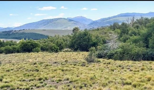 Campo en venta en Lonquimay — foto 10