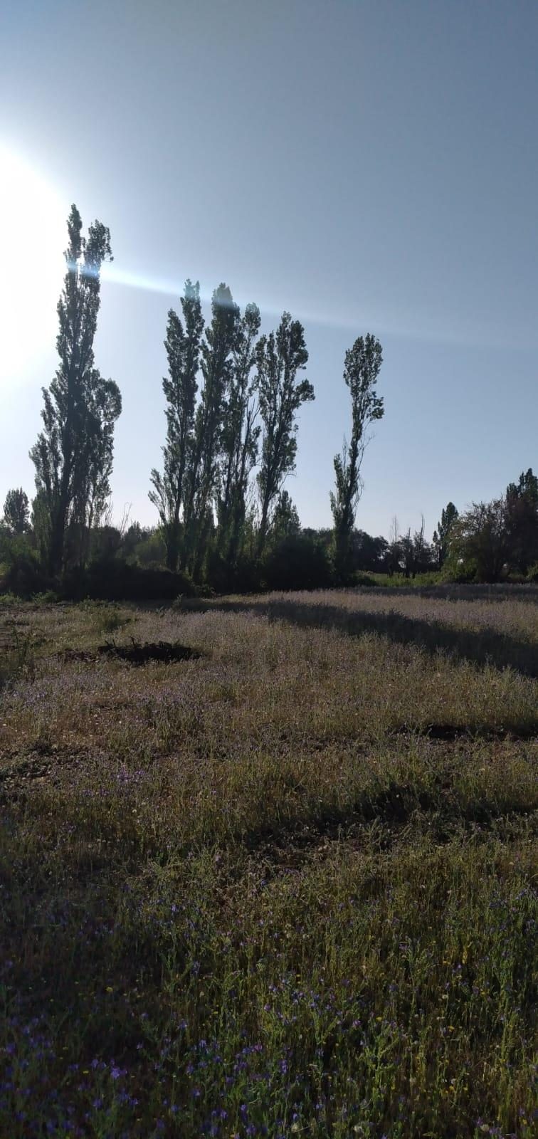 Parcela en venta en Bulnes — foto 2