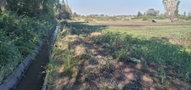 Parcela en venta en Bulnes — foto 6