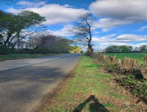 Campo en venta en San Ignacio — foto 1