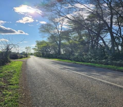 Campo en venta en San Ignacio — foto 2
