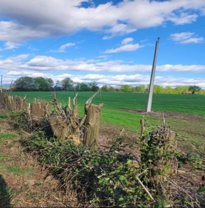 Campo en venta en San Ignacio — foto 3