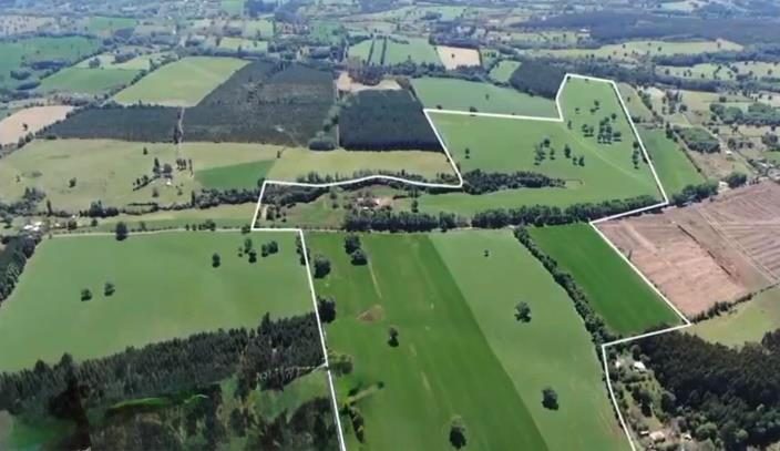 Campo en venta en San Ignacio — foto 5