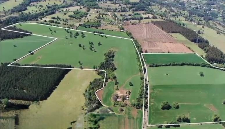 Campo en venta en San Ignacio — foto 8