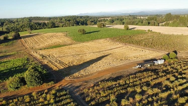 Campo en venta en Pinto — foto 4