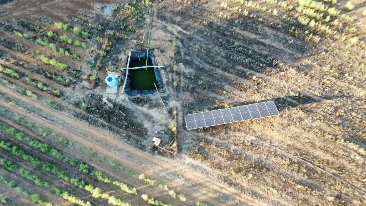 Campo en venta en Pinto — foto 5