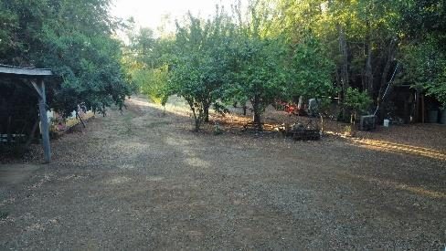Campo en venta en Pinto — foto 8