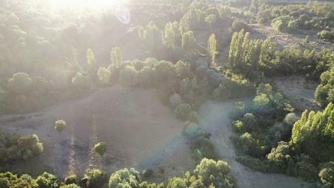 Campo en venta en Pinto — foto 9