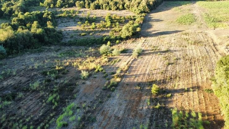 Campo en venta en Pinto — foto 10