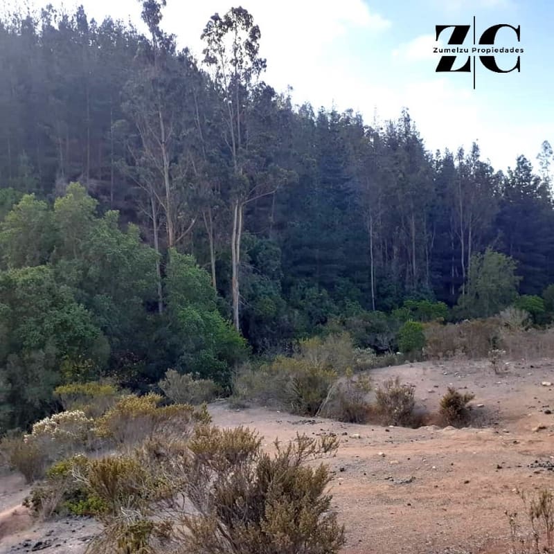 Parcela en venta en Casablanca — foto 1