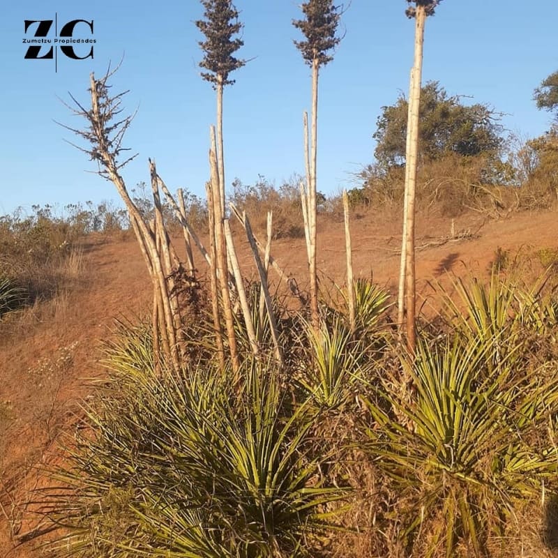 Parcela en venta en Casablanca — foto 2