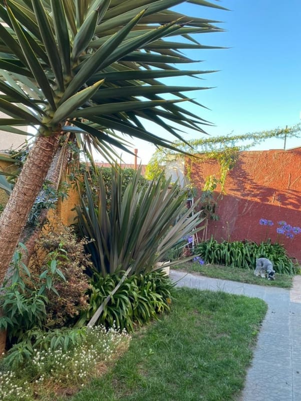 Casa en venta en Viña del Mar — foto 7