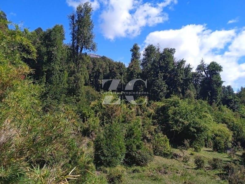 Parcela en venta en Chaitén — foto 5
