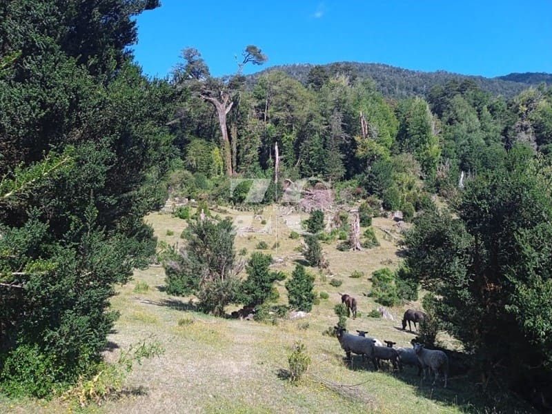 Parcela en venta en Chaitén — foto 6