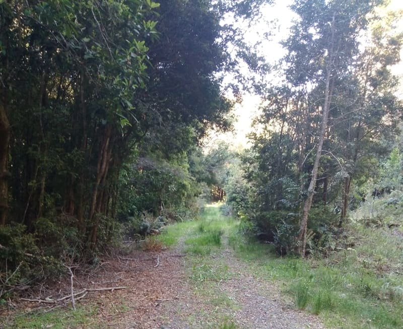 Parcela en venta en Puerto Montt — foto 5