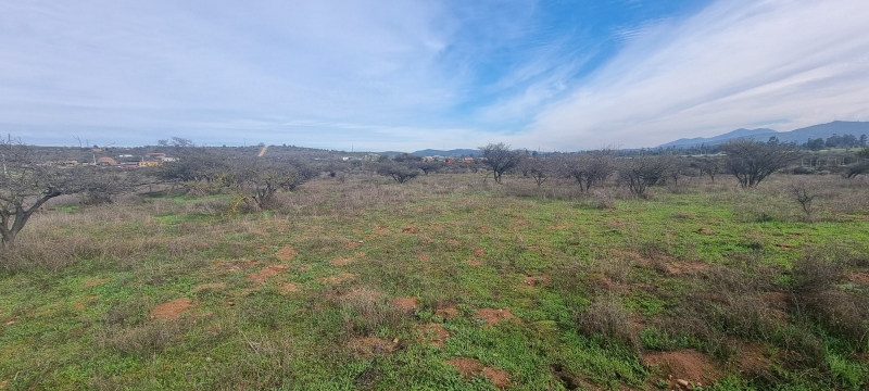 Parcela en venta en Limache — foto 7