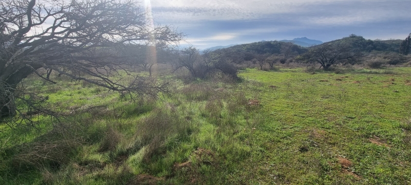 Parcela en venta en Limache — foto 9