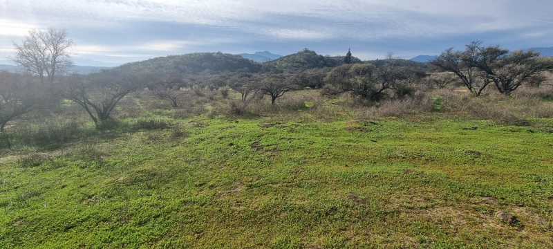 Parcela en venta en Limache — foto 10