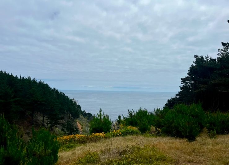 Parcela en venta en Valparaíso — foto 3