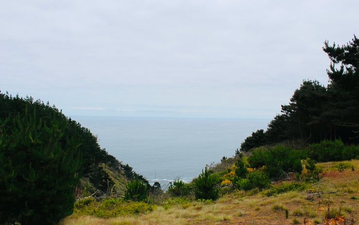 Parcela en venta en Valparaíso — foto 4