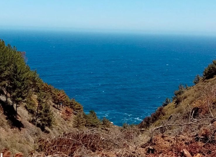 Parcela en venta en Valparaíso — foto 5