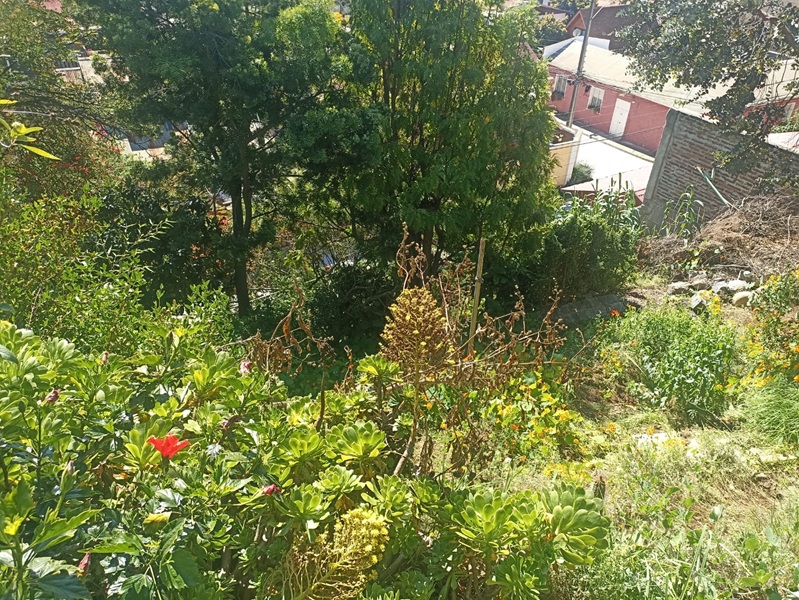 Casa en venta en Viña del Mar — foto 2