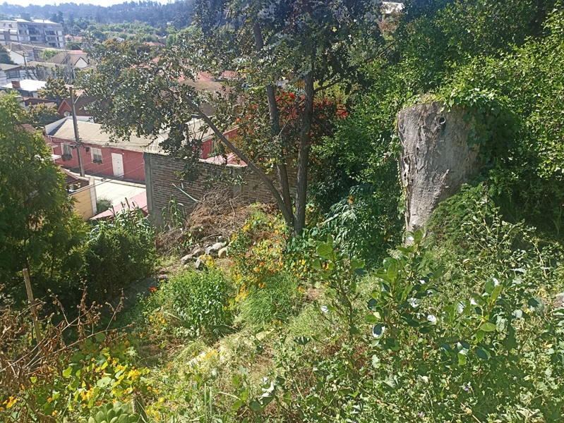 Casa en venta en Viña del Mar — foto 8