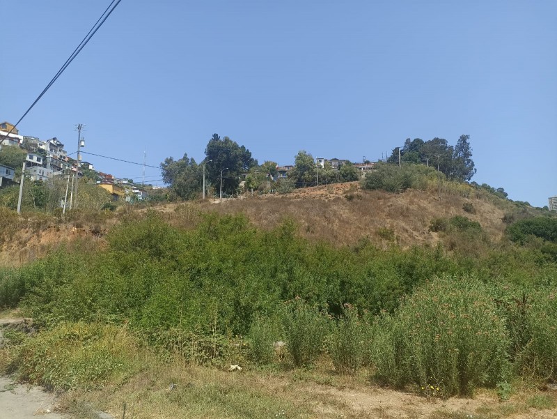 Terreno en venta en Viña del Mar — foto 10