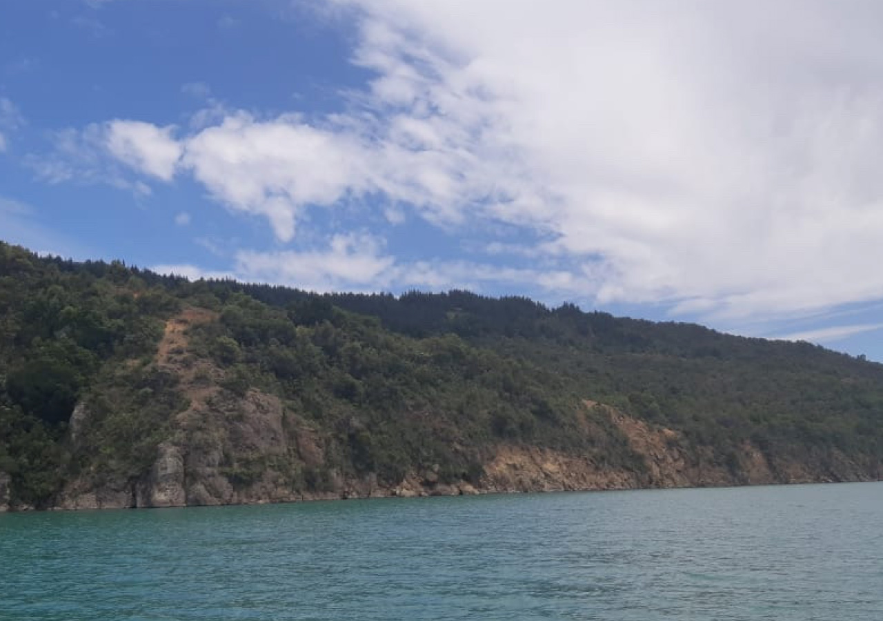 Terreno en venta en Colbún — foto 8