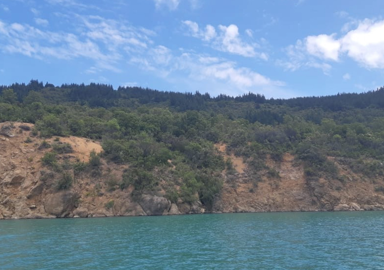 Terreno en venta en Colbún — foto 9