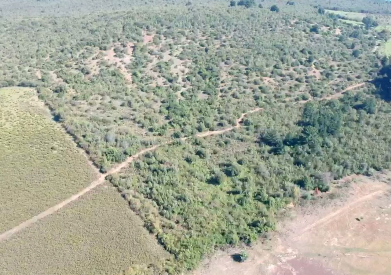 Terreno en venta en Colbún — foto 2