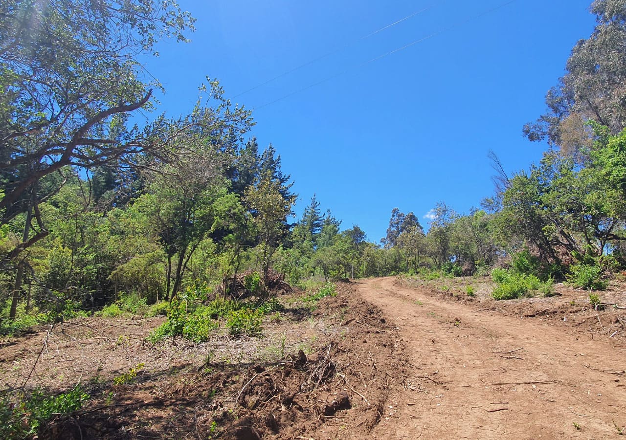 Terreno en venta en Colbún — foto 9