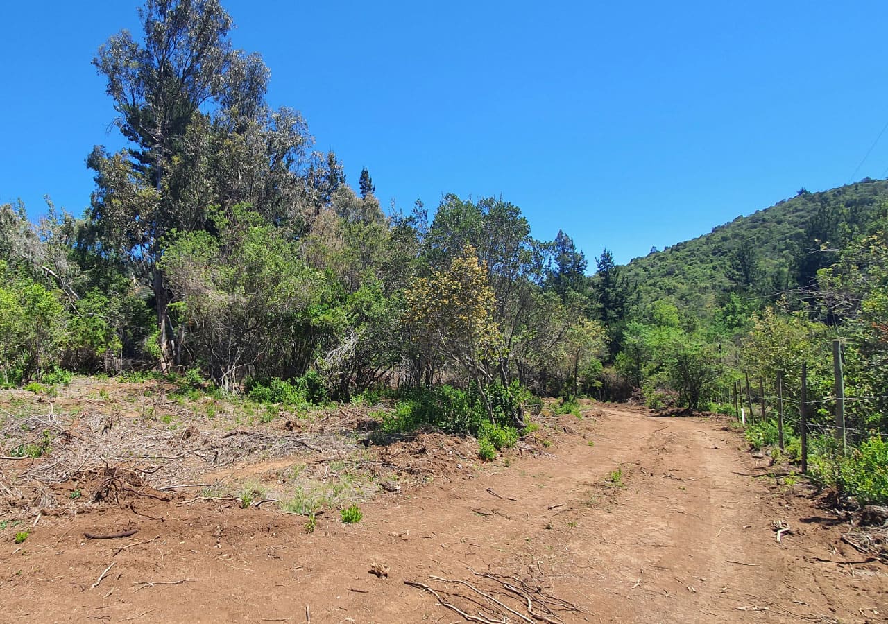 Terreno en venta en Colbún — foto 10