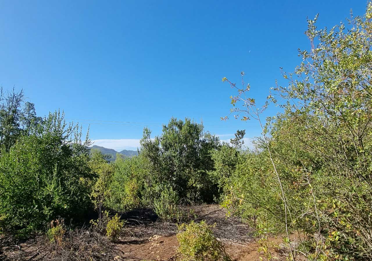Terreno en venta en Colbún — foto 2